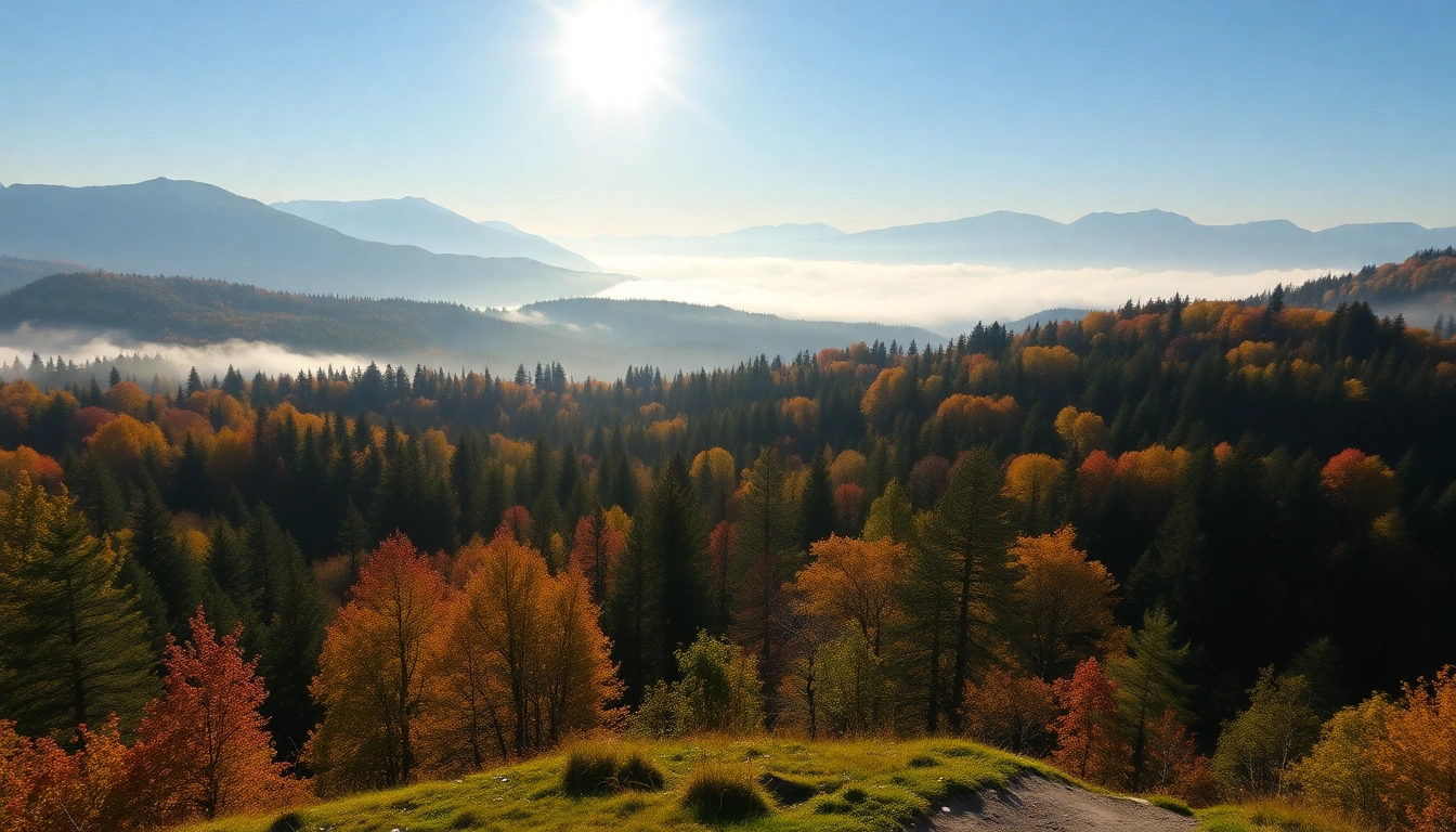 Hiker walking through lush Thüringer Wald forest with tall conifers and golden leaves, showcasing the scenic landscape's tranquility and dense greenery.
